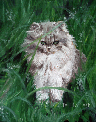 Grey Cat in Grass