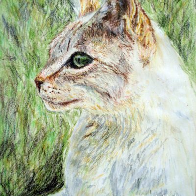 Cat in Sun drawn about age sixteen