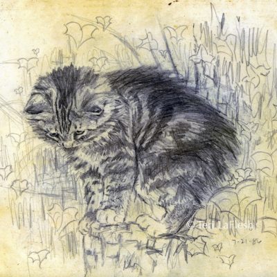 Cat on Stump drawn about age fifteen