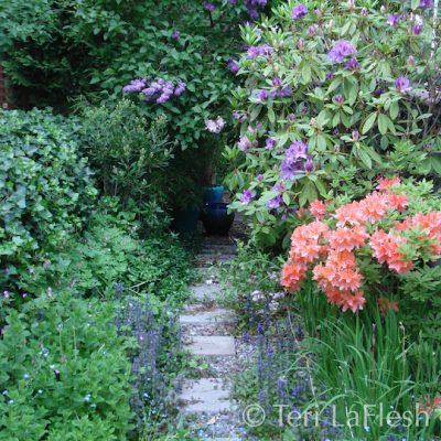 The path to the back in spring